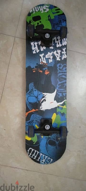 skateboard 2