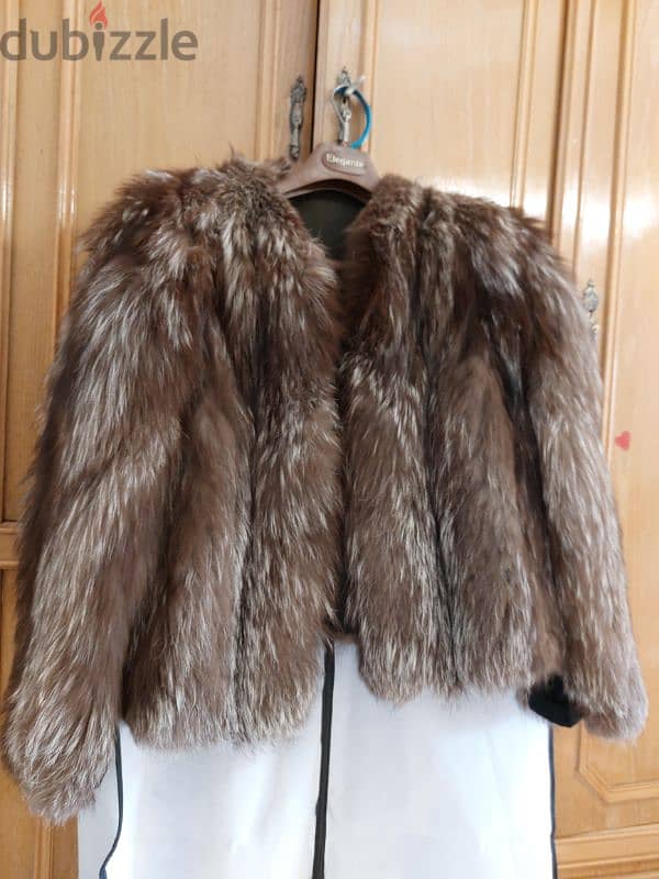 Mink Fur coat 1