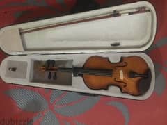 Shark violin