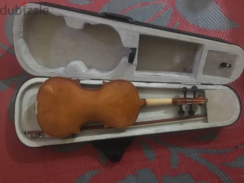 Shark violin 1