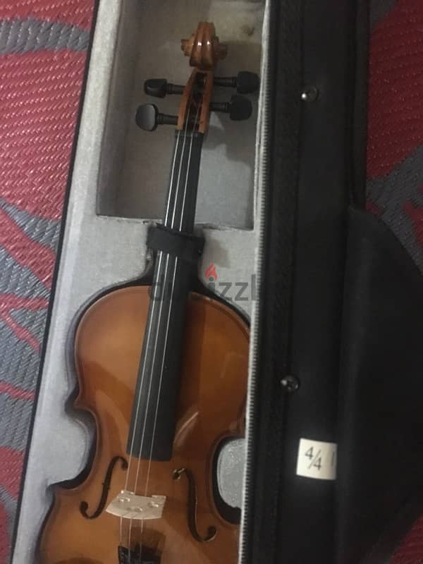 Shark violin 2