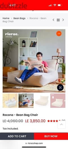 Rocona - Bean Bag Chair 0