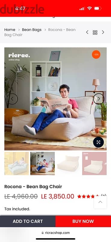 Rocona - Bean Bag Chair