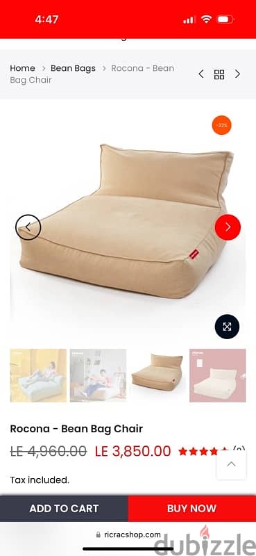 Rocona - Bean Bag Chair 1