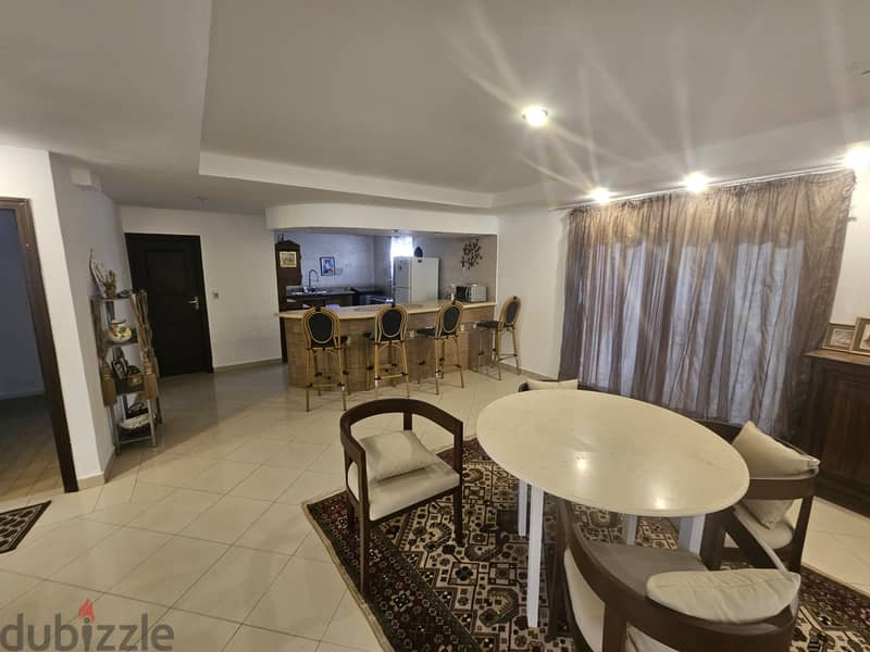 amazing fully furnished apartment with roof maadi Degla maadi 2 10