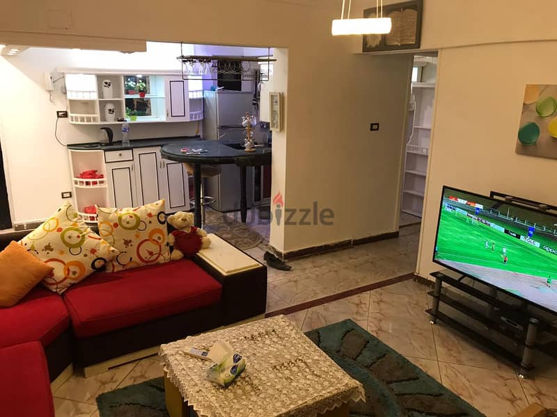 For Rent: Furnished Flat in Degla Maadi at an Attractive Price   Lo 6