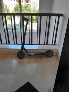 electric scooter