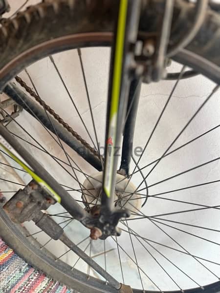 Trinx Bicycle Perfect condition used Twice only 3