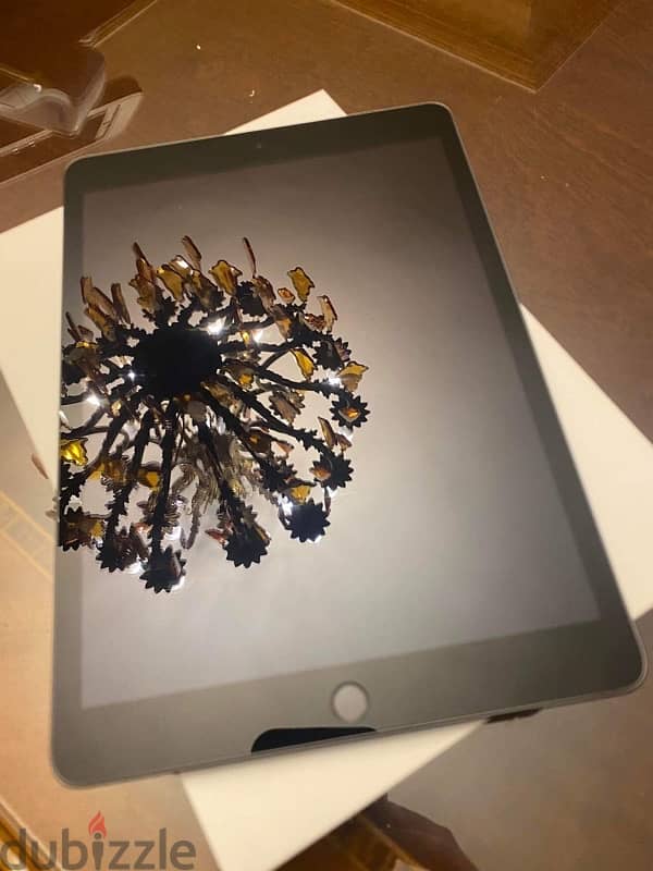 ipad 9 1