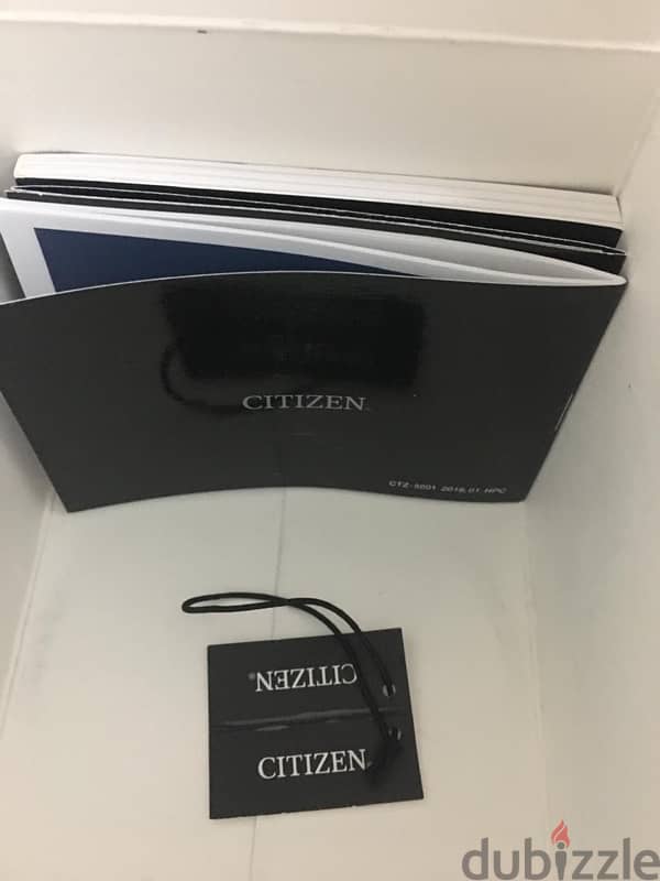 Citizen Echo drive watch 3