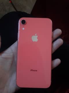 iphone XR 0