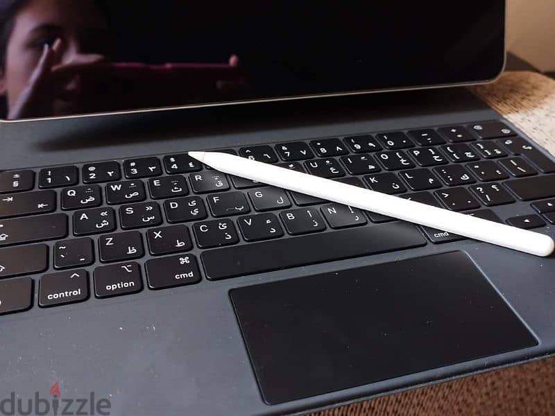 apple magic keyboard and apple pen 1