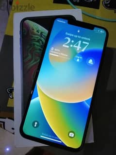 xs max 256 g