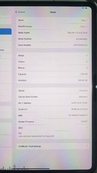 ipad pro m4 13 256 wifi +cellular esim 8