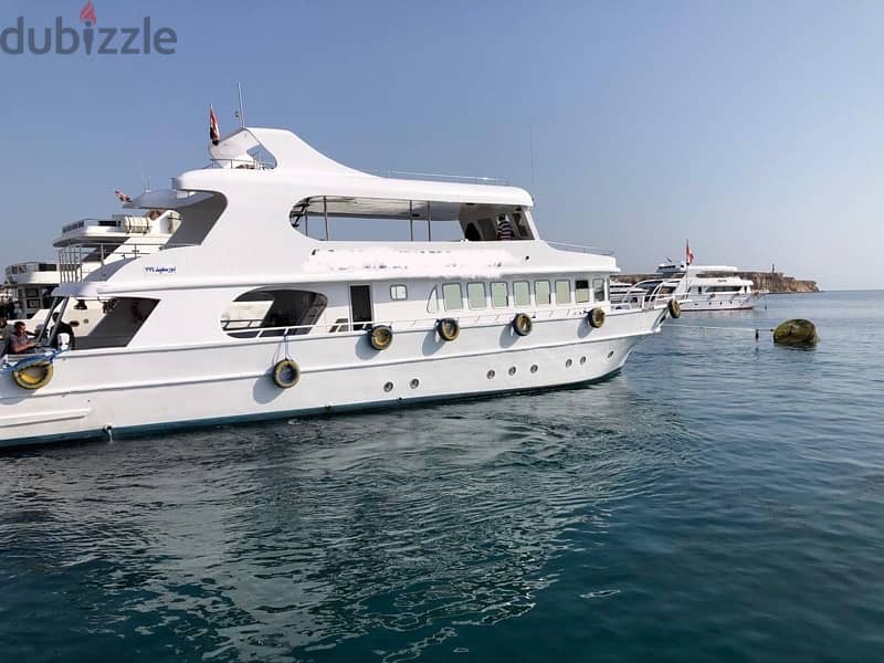 Daily Boat , Sharm license 1