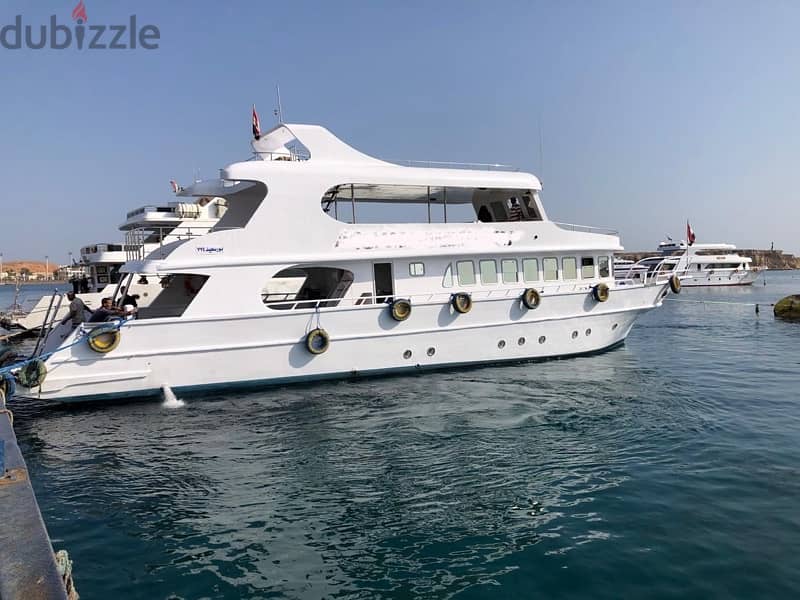 Daily Boat , Sharm license 2