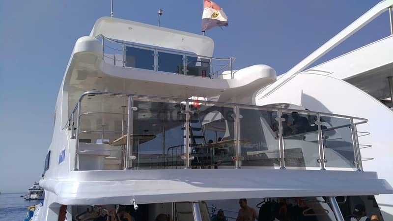 Daily Boat , Sharm license 11