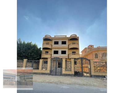 BIG ready to move in el shorouk