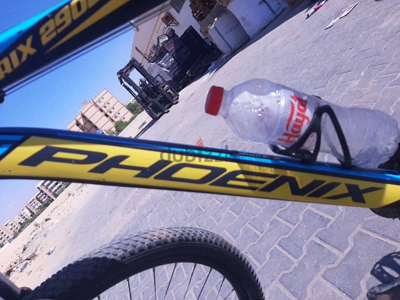 Phoenix bicycle 29 Inch عجلة فونيكس ٢٩ بوصة 2