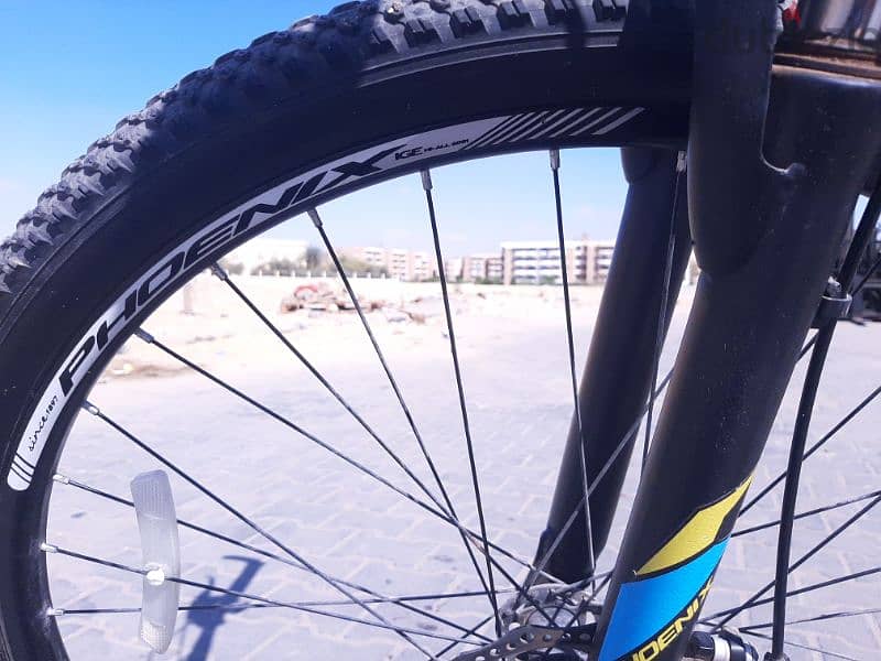 Phoenix bicycle 29 Inch عجلة فونيكس ٢٩ بوصة 5