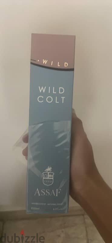 wild colt from assaf وايلد كولت من عساف مستعمل رشتين