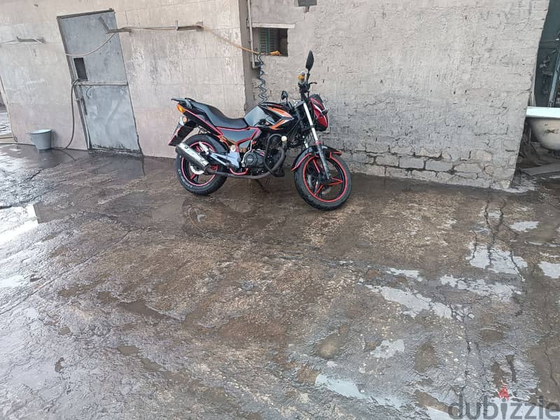 دايون 6 ماكس 200 CC 1