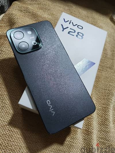 vivo