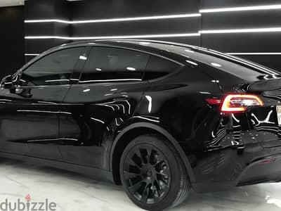 Tesla Model Y 2023 long rang dual motor