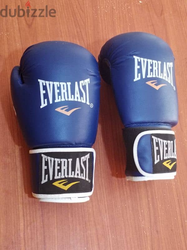 Gloves Everlast pro Boxing. 12-oz جلفز بوكس مقاس 0