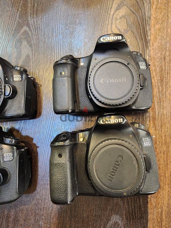 بوديهات كانون canon 60d حالات ممتازه بخصومات حصريه 1