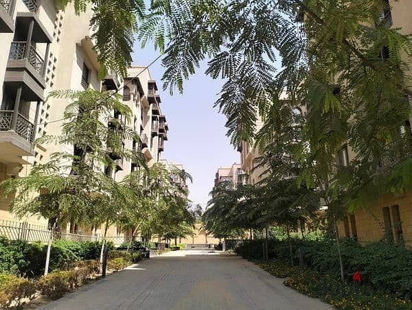 Required cash 600 thousand apartments immediate receipt in the heart of Cairo 3