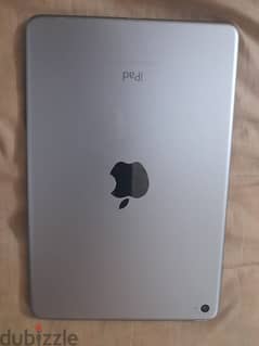 ipad mini 4 0