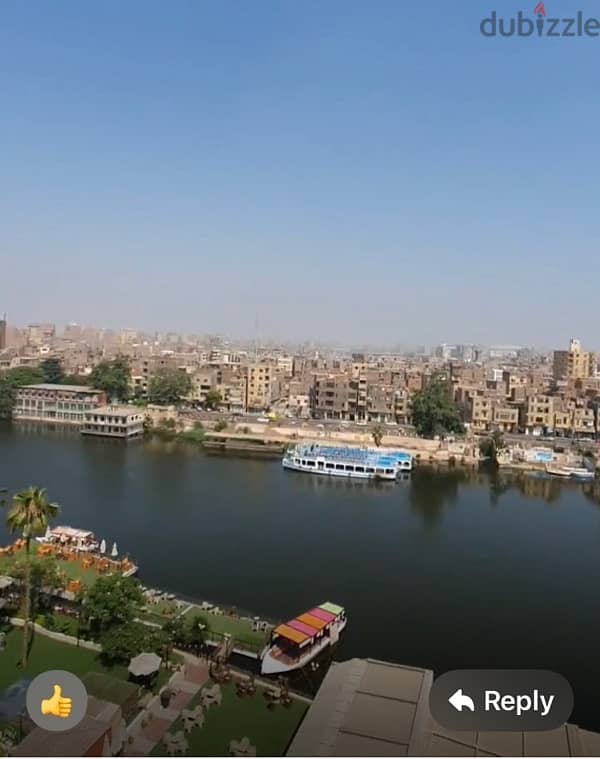 apartment for sale in abo el feda st. zamalek. cairo nile view 4