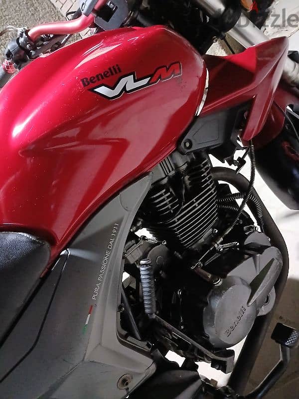 بنيليbenelli vlm200cc M2021 كالجديده رخصه سنتين و8 شهور 9