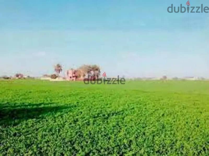 فيلا للبيع في احمد عرابي العبور Villa for sale in Ahmed Orabi, Obour 3