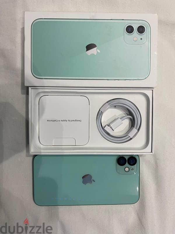 iPhone 11 Mint Green 1