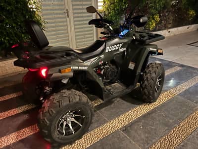 beach buggy shark 2023 200cc