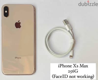 iPhone Xs Max (FaceID not working)