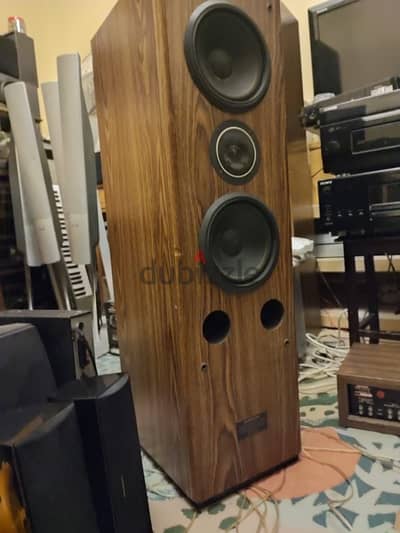 Pioneer speakers