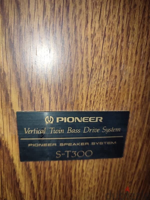 Pioneer speakers 2