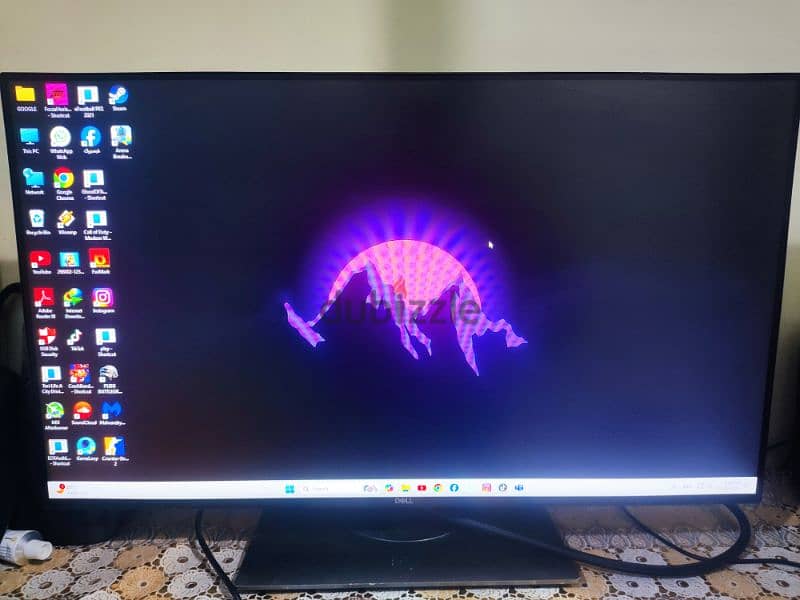 dell monitor 0