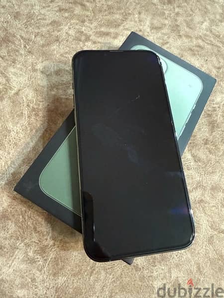 iPhone 13 Pro Max 256 GB 1