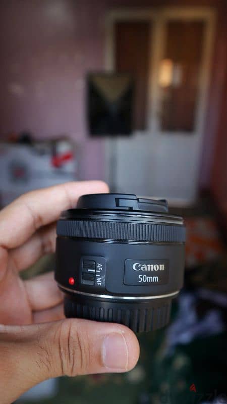 canon 50mm   1.8 1