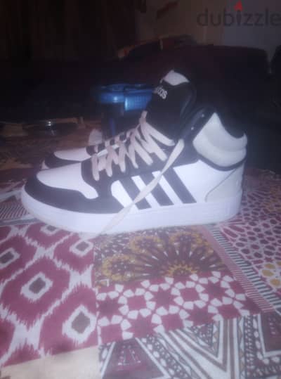 Adidas hoops 3.0 mid 43