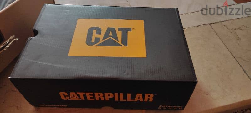 Caterpillar 1