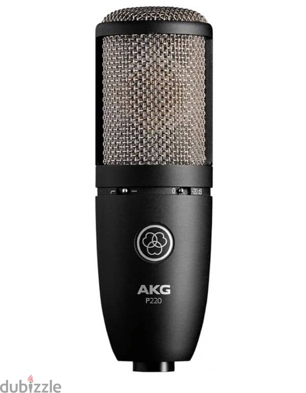 AKG Pro Audio P220-condenser microphone 1