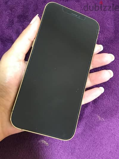 Iphone 12 pro max 512gb