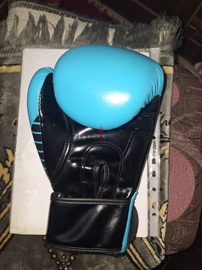 boxing gloves 10oz