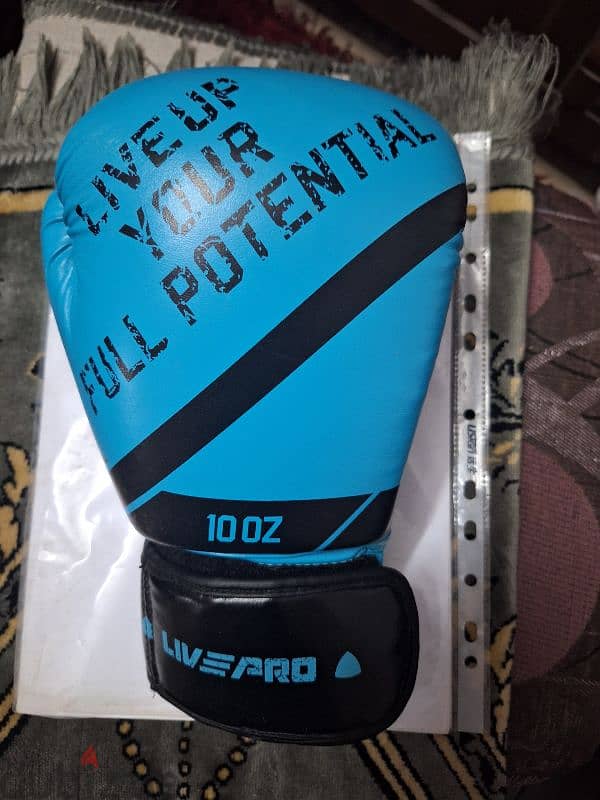 boxing gloves 10oz 1