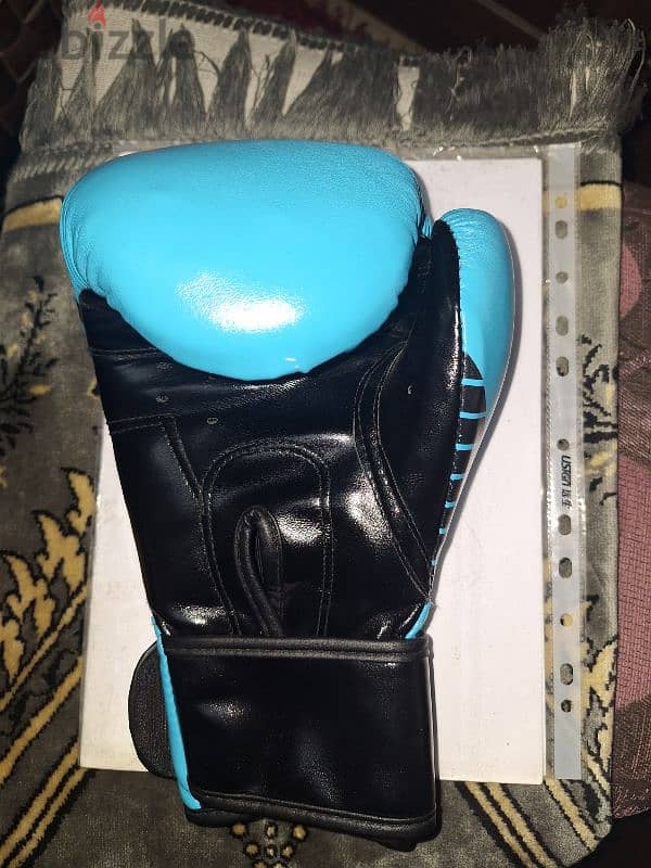 boxing gloves 10oz 3